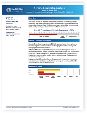 Remote Work Analysis - Leadership Sample Report